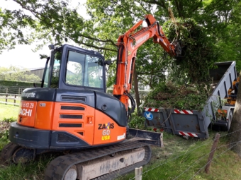 Uitdoen beplanting
